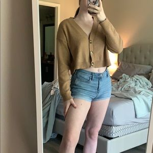 A tan cashmere button up sweater